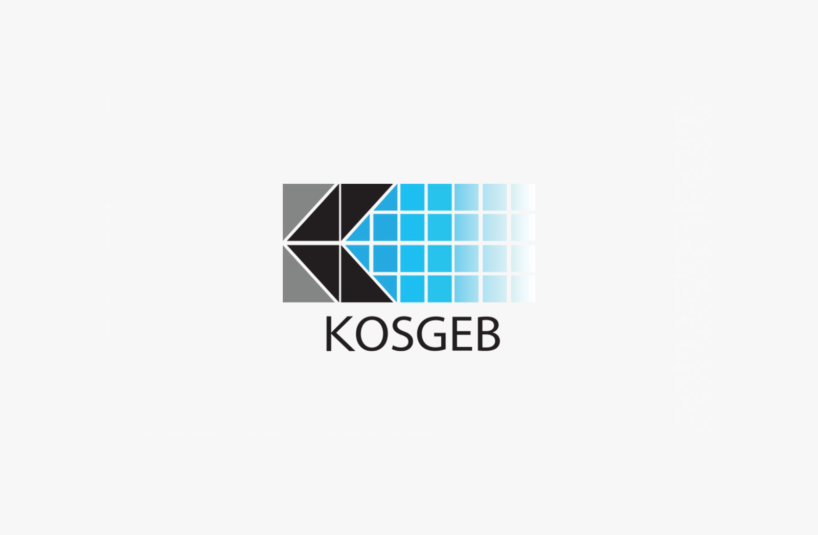 KOSGEB destek başvurusu danışmanlığı